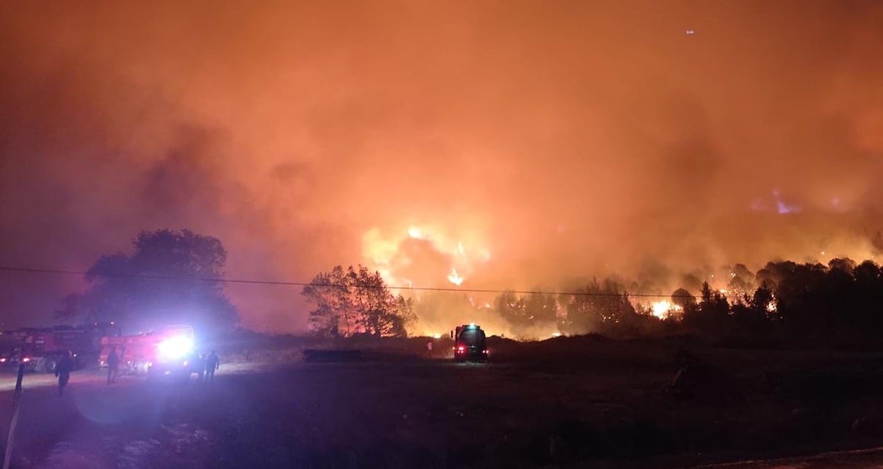 Bursa’da orman yangını! Müdahale sürüyor