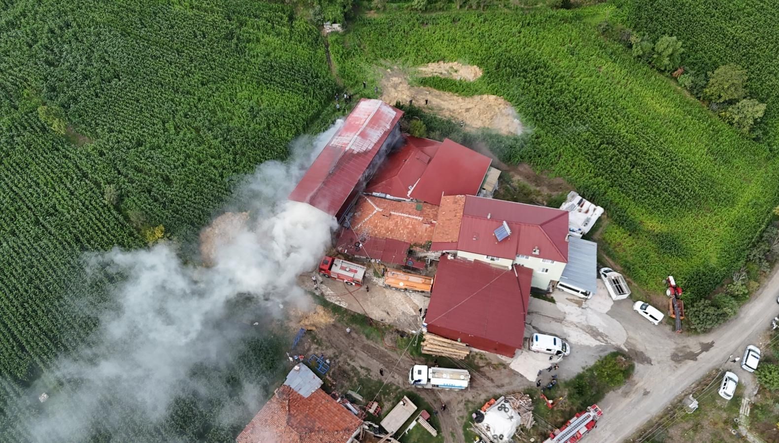 Samsun’da samanlık yangında hasar gördü