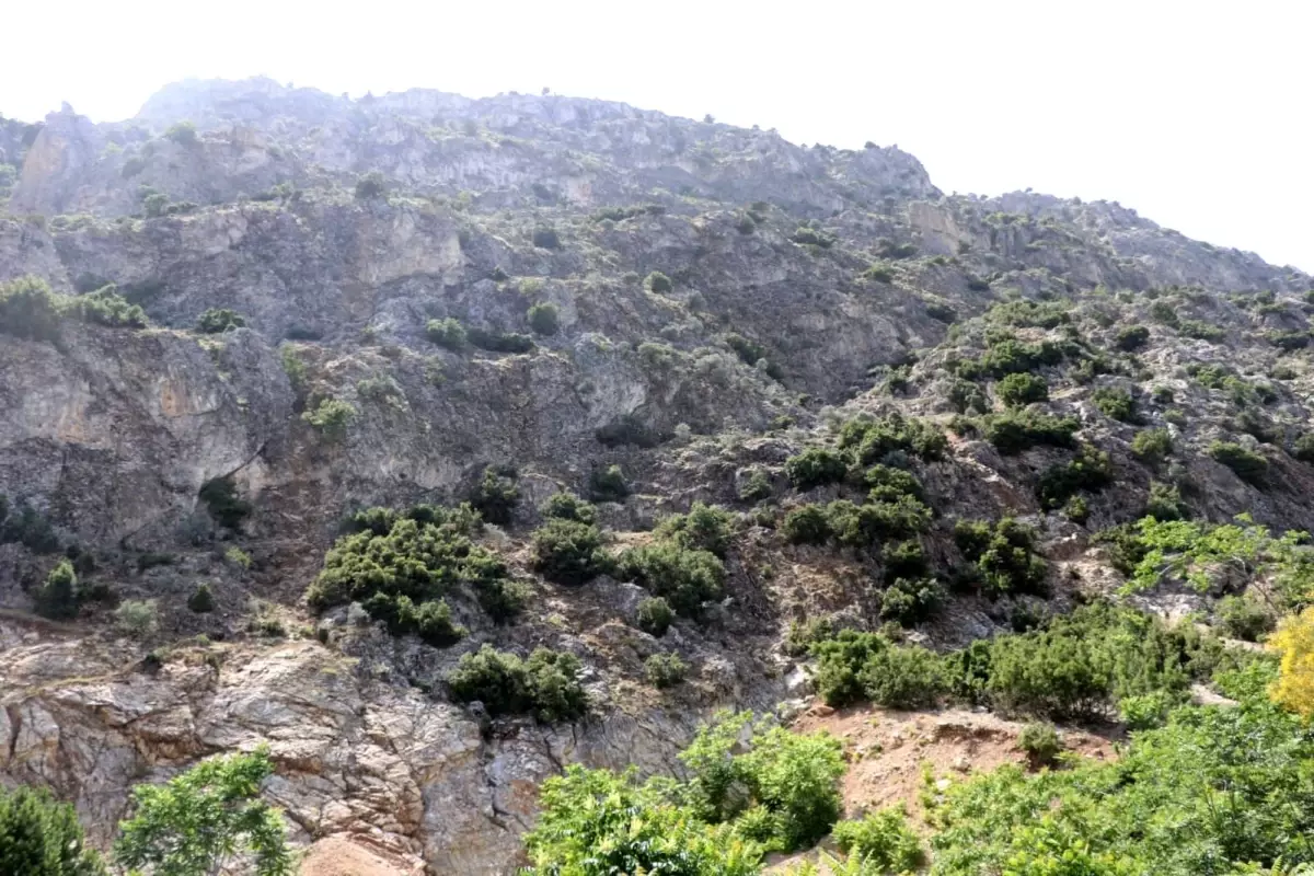 Isparta’da Kaybolan 75 Yaşındaki Adam İçin Arama Çalışmaları Başlatıldı