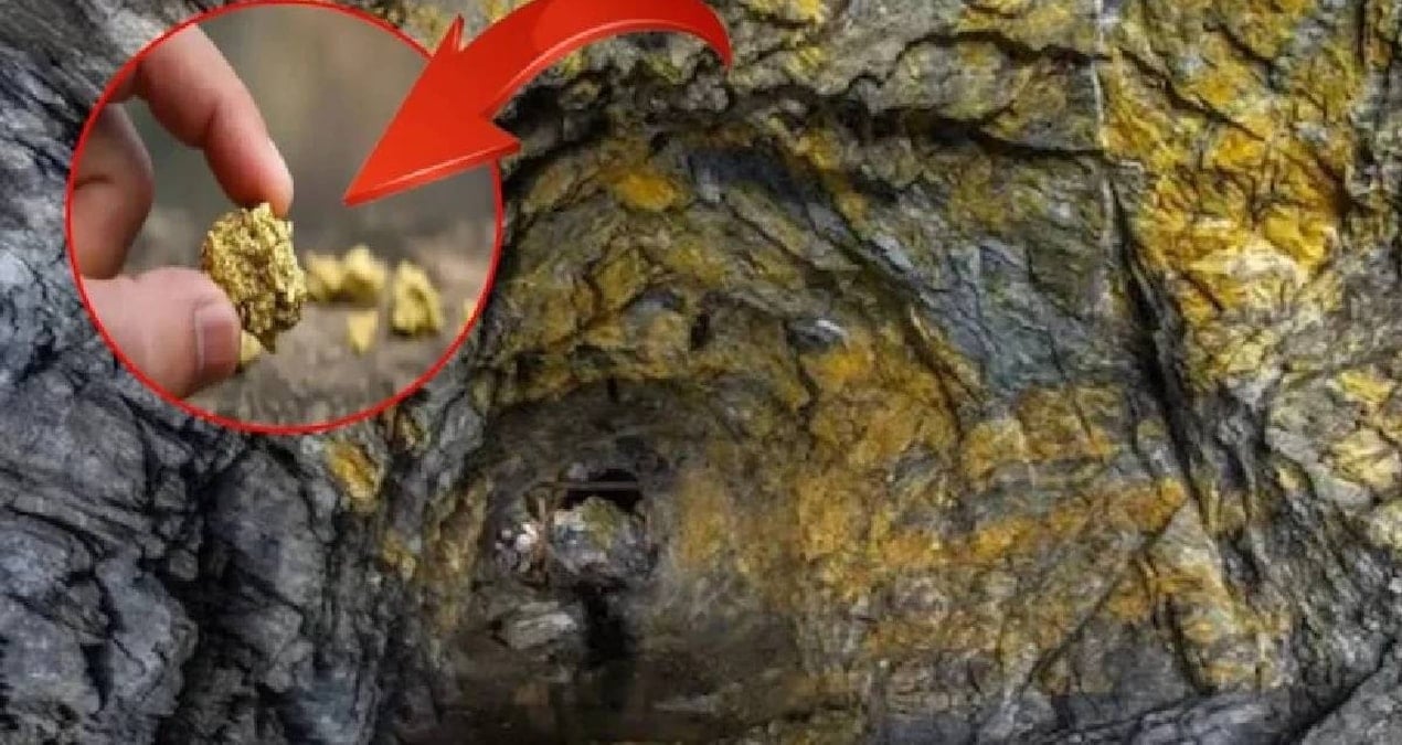 Dünyanın en derin 10 altın madeni: Yerin altına iniyorlar külçe külçe altın çıkarıyorlar