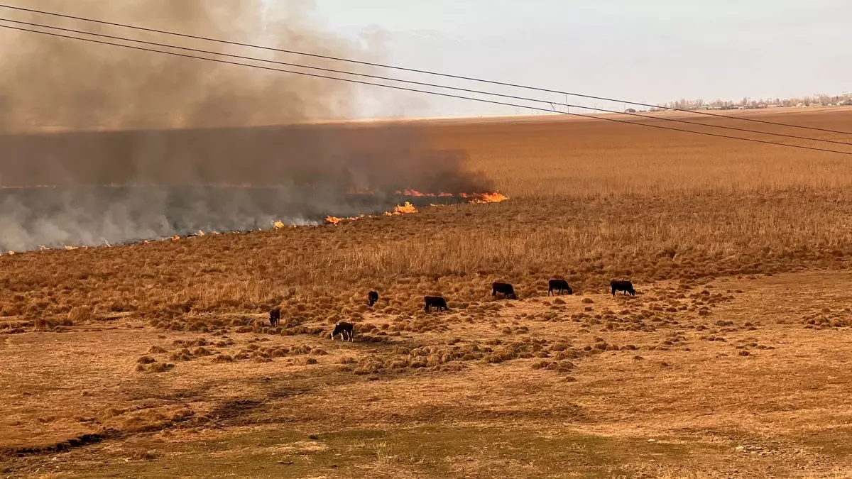 Hakkari’de Nehil Sazlığı’nda Yangın Söndürme Çalışmaları