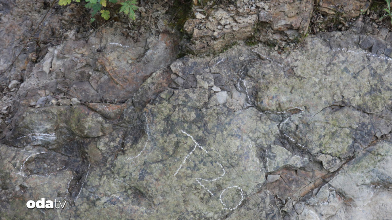 200 milyon yıllık ayak izleri: Çin’de şaşırtan keşif