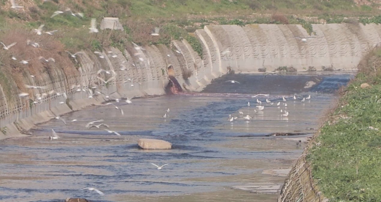 Haramidere’nin rengi kırmızıya döndü!