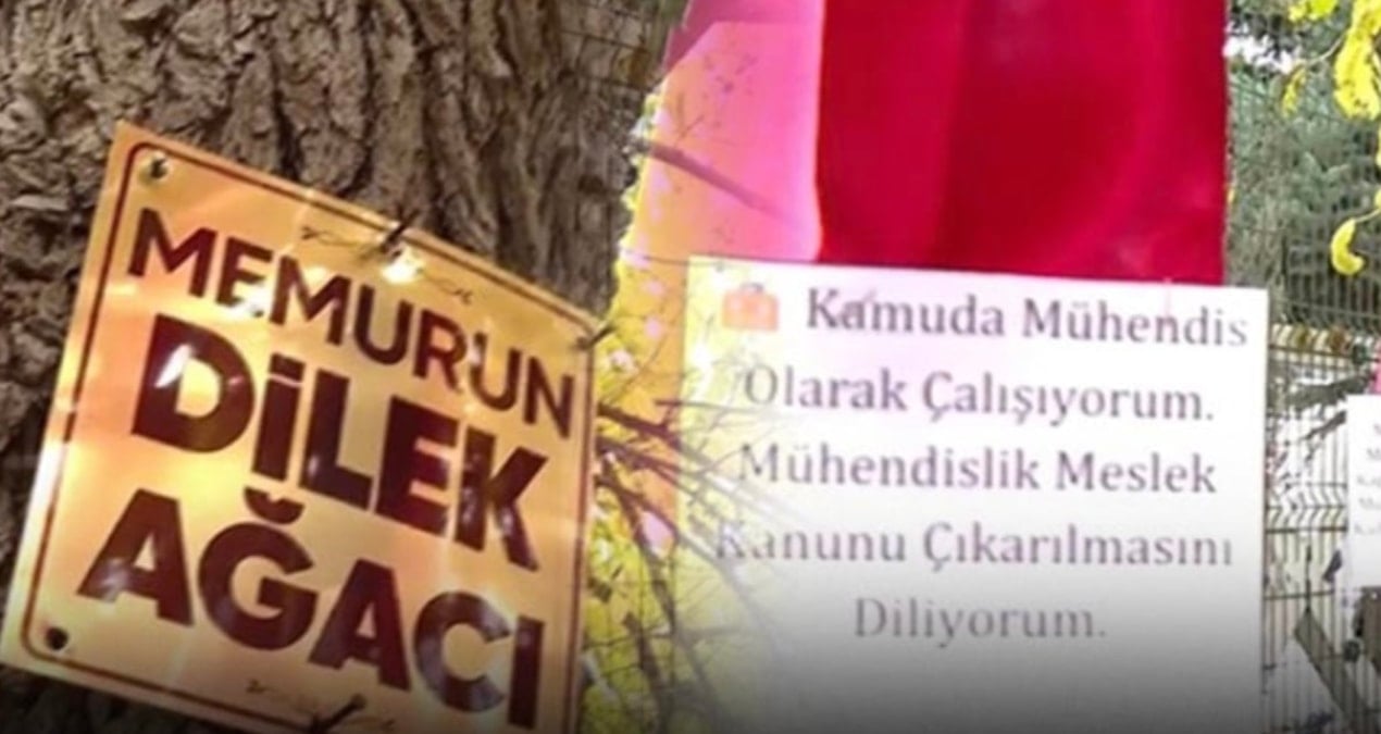 Sesini duyuramayan memurlar çareyi dilek ağacında aradı