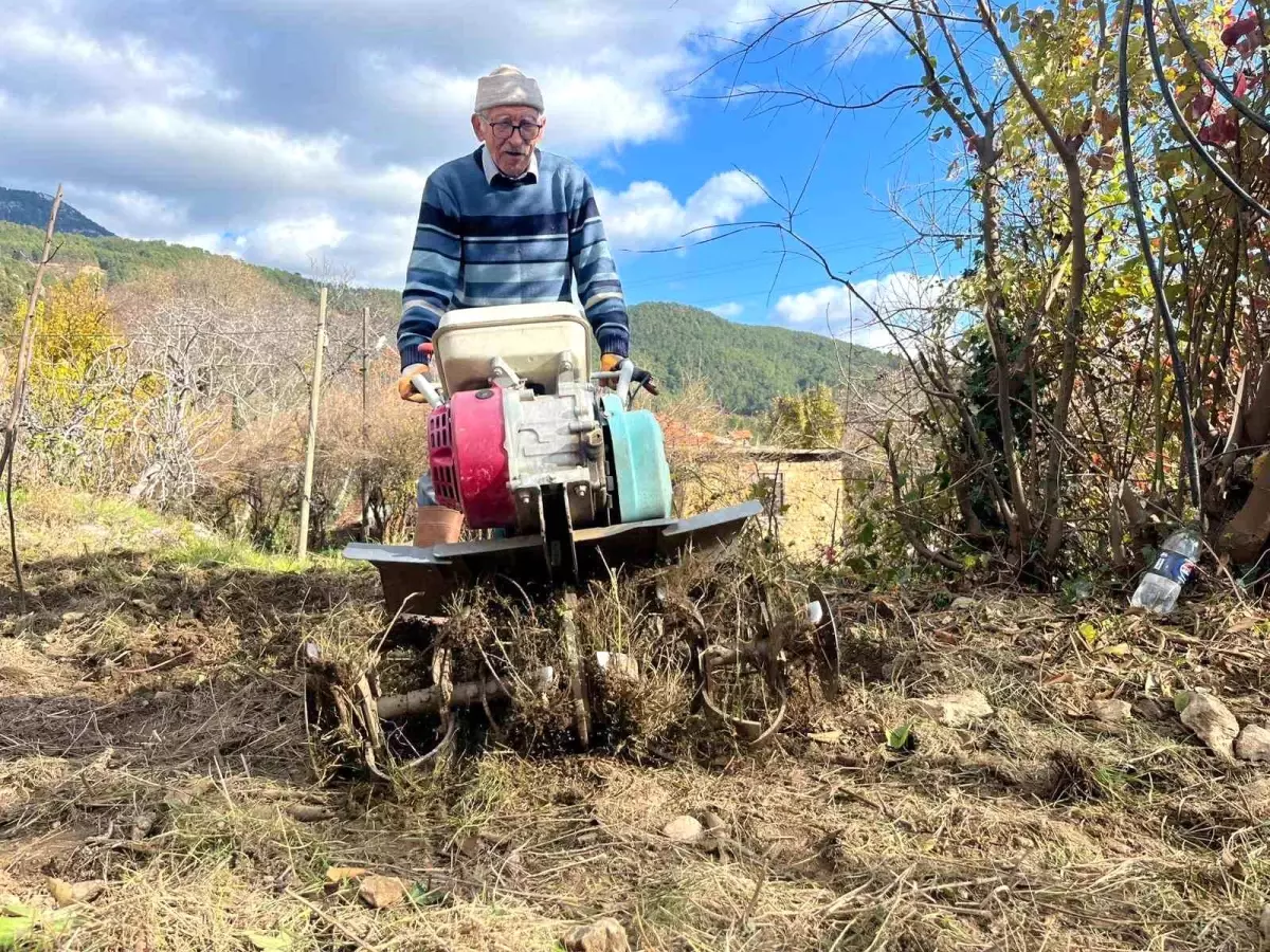 82 Yaşındaki Müşavir Tarımsal Üretime Öncülük Ediyor