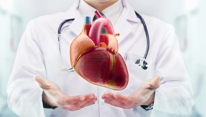 Bilim İnsanlarını Şaşırtan Keşif. . . Kalp Krizinden Sonra Kalp Kendini Onarabiliyor!