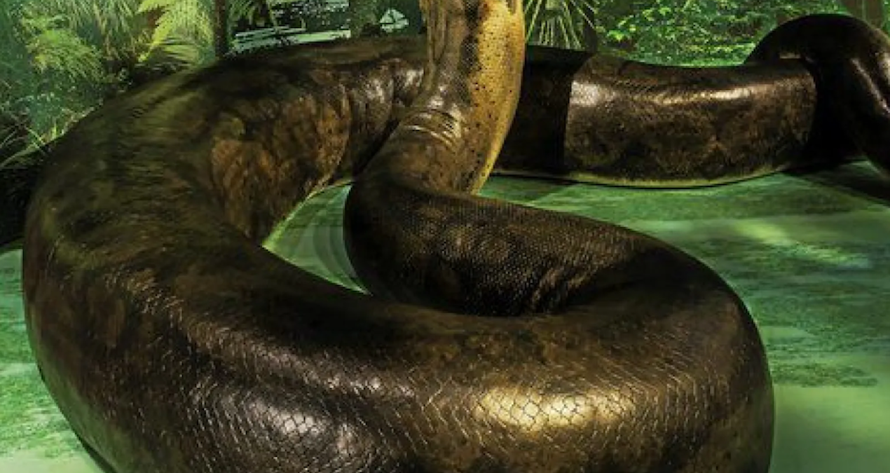 Otobüsü Geride Bırakan Yılan Türü Keşfedildi: Küresel Isınma Etkileri